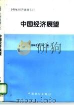 1996中国经济展望  上     PDF电子版封面    国家信息中心 