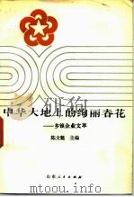 中华大地上的绚丽春花  乡镇企业文萃（1985 PDF版）