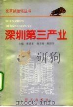 深圳第三产业   1992  PDF电子版封面  7805424713  张思平主编 