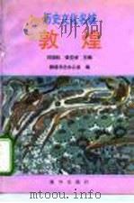 历史文化名城  敦煌   1994  PDF电子版封面  750112650X  闫国权，张克炘 