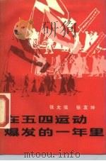 在五四运动爆发的一年里   1989  PDF电子版封面  7543002612  张允侯，张友坤著 