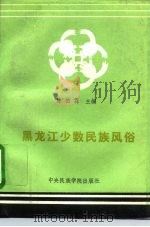 黑龙江少数民族风俗   1993  PDF电子版封面  7810016490  陈伯霖主编 