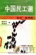 中国民工潮  “盲流”真相录（1990 PDF版）
