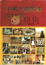中国少数民族文化史（1994 PDF版）