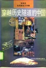 穿越历史隧道的中国  张胜友电视报告文学集（1995 PDF版）