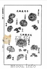 三希堂画宝  竹谱  菊谱（1994 PDF版）