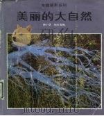 美丽的大自然   1989  PDF电子版封面  7536203527  杨小彦，杨石友编 