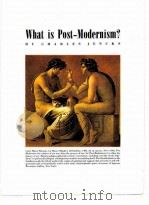 What is Post-Modernism？   1988  PDF电子版封面  7530803298  詹克斯著；李大厦译 