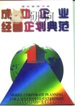 成功企业经营企划典范   1996  PDF电子版封面  7800017206  北京德辰管理研究中心主编 