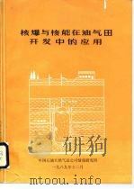 核爆与核能在油气田开发中的应用   1989  PDF电子版封面    张朝琛 