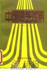 中国喷气燃料   1991  PDF电子版封面  7800431622  刘济瀛等编著 