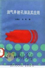 油气井射孔弹及其应用   1992  PDF电子版封面  7502107088  白锡忠，常熹编 