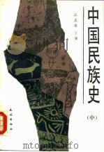 中国民族史  中（1990 PDF版）