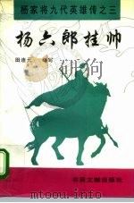 杨六郎挂帅   1995  PDF电子版封面  7501312303  田连元编写 