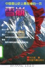 雪崩  中国登山史上最悲惨的一页   1994  PDF电子版封面  7506804182  刘文彪著 