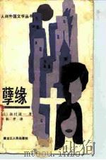 孽缘   1986  PDF电子版封面  10093·727  （日）森村诚一著；林平译 