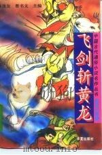飞剑斩黄龙（1994 PDF版）