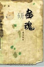 画魂  张玉良传   1983  PDF电子版封面  10019·3477  石楠著 