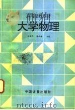 大学物理   1995  PDF电子版封面  7502607889  张国忠，张丹海主编 