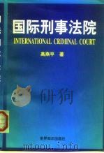 国际刑事法院   1999  PDF电子版封面  750121087X  高燕平著 