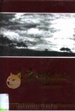音乐的徘徊   1996  PDF电子版封面    林道侃，郑长林 