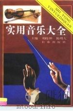 实用音乐大全   1992  PDF电子版封面  7805737010  刘晓钟，陈明大主编 