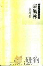 袁毓林自选集   1999  PDF电子版封面  7563328106  袁毓林著 