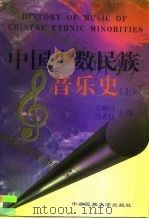 中国少数民族音乐史  上（1998 PDF版）