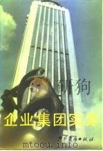 企业集团实务   1991  PDF电子版封面  7800870162  中国社会科学院工业经济研究所工业体制研究室编 