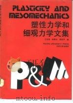 塑性力学和细观力学文集  庆贺林同骅教授八十寿辰（1993 PDF版）