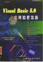 Visual Basic 5.0实用编程指南   1998  PDF电子版封面  7302031851  （美）（A.T.曼）Anthony T.Mann著；夏毓彦， 