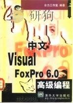 中文Visual FoxPro 6.0高级编程   1999  PDF电子版封面  7302034230  合力工作室编著 
