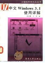 中文Windows 3.1使用详解   1996  PDF电子版封面  750533249X  潘永雄，沙河编著 