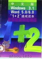 中文版Windows3.1 Word5.0/6.0“1+2”速成读本（1997 PDF版）
