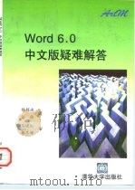 Word 6.0中文版疑难解答（1996 PDF版）