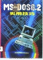 MS-DOS 6.2实用技巧   1994  PDF电子版封面  7560603475  金西等编著 