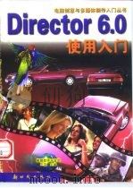 Director6.0使用入门   1999  PDF电子版封面  7504204064  王京主编 