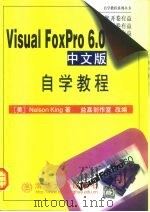 Visual FoxPro 6.0中文版自学教程   1999  PDF电子版封面  7302036705  （美）（N.金）Nelson King著；益嘉创作室改编 