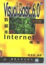 Visual Basic 6.0中文版数据库和Internet编程   1999  PDF电子版封面  7302036454  胡荣根编著 