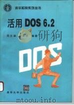 活用DOS6.2   1994  PDF电子版封面  7302015619  邓文渊，柯志贤编著 