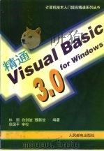 精通Visual basic 3.0 for windows   1995  PDF电子版封面  7115057672  林丽等编著 