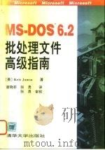 MS-DOS 6.2批处理文件高级指南   1994  PDF电子版封面  7302016054  （美）Kris Jamsa著；唐晓非，张 勇译 