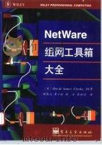 NetWare组网工具箱大全   1995  PDF电子版封面  7505329812  （美）David James Clarke著；胡衡沅等译 