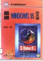 精通Windows 95中文版（1996 PDF版）