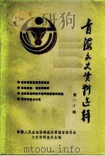 青海文史资料选辑  第20辑（1991 PDF版）