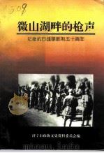 微山湖畔的枪声：纪念抗日战争胜利五十周年（1995 PDF版）