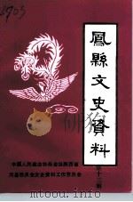 凤县文史资料  第13辑（1996 PDF版）