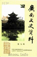 广南文史资料  第9辑（1999 PDF版）