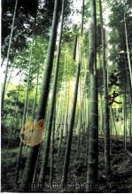 尤溪文史资料  第13辑  林业史料专辑（1999 PDF版）