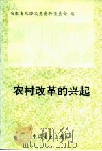 农村改革的兴起   1993  PDF电子版封面  750340406X  欧远方 